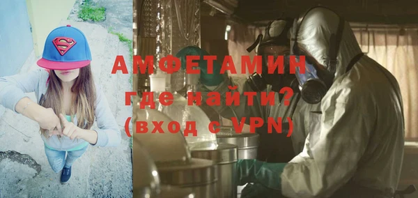 гидра Богородицк