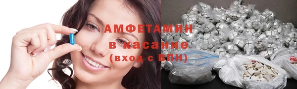 гидра Богородицк